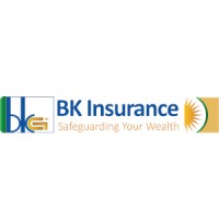 BK Insurance Ltd logo - Similar company to Batanga Analytics Ltd