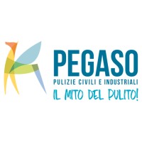 Pegaso srl logo - Similar company to Pegaso Srl