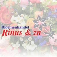 Bloemenhandel Rinus & zn logo - Similar company to Detelefooncentrale