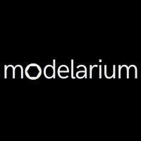Modelarium sp. z o.o. logo - Similar company to Deepdive