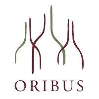 Oribus UG logo - Similar company to Oribus