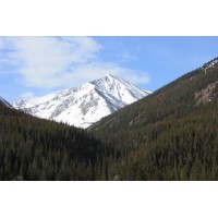 14ers Consulting LLC logo - Similar company to Iam Pulse
