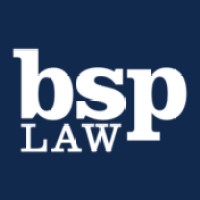 Bush Seyferth PLLC logo - Similar company to Prioraity Llc