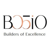 BOSIO Construction LLC logo - Similar company to Vol Line Technical Services Llc
