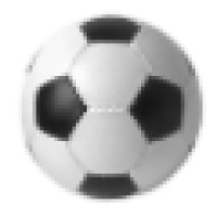 Elite Soccer League