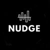 Nudge logo - Similar company to Saffron Ai