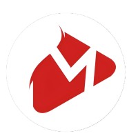 Meet My Media logo - Similar company to Brain Links & Resources Pvt Ltd