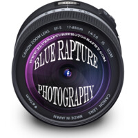 Blue Rapture Photography logo - Similar company to Purpleport Limited