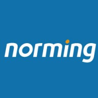 Norming Software International Limited logo - Similar company to 诺明软件国际有限公司