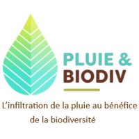 Pluie & Biodiv logo - Similar company to Irisbg