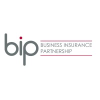 Business Insurance Partnership Limited logo - Similar company to 1Networking