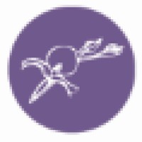 Orchid Project logo - Similar company to Amplifychange