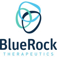 BlueRock Therapeutics logo - Similar company to Xi Research Group (Mcmaster University)