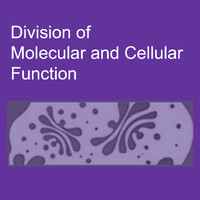 Division of Molecular and Cellular Function, University of Manchester logo - Similar company to Original Lab