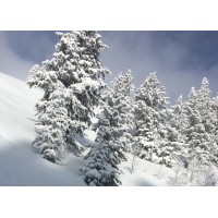 Powder Mountain, Inc logo - Similar company to Summit Powder Mountain