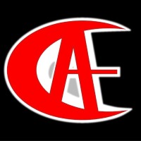 Computer Ace Jobs logo - Similar company to Computerjobs