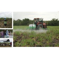 Belize Agroecological & Gardens Services logo - Similar company to Ecoharvest O Solutions
