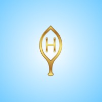 HANSAI IT Solutions logo - Similar company to Kgxperience