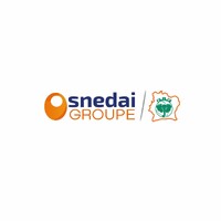 GROUPE SNEDAI logo - Similar company to Oneci