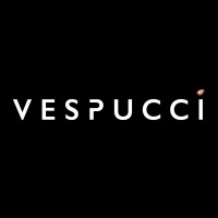 Vespucci logo - Similar company to The Boring Business