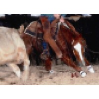 Michael Blewitt Cutting Horses