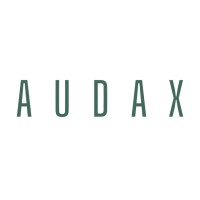 Audax security & services logo - Similar company to D.V. Services B.V.