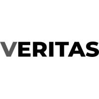 Veritas-Doo logo - Similar company to Swiss Engineering Group Llc