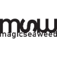 Magicseaweed