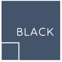 Black Investment Holdings Ltd logo - Similar company to Billion Schmidt Private Equity