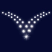 Ventrive Pty Ltd logo - Similar company to Cbl Holding
