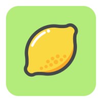 DesignLime logo - Similar company to 1Ai