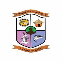 Copperbelt University - Riverside Campus logo - Similar company to The Copperbelt University - Ecampus