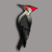 Darkob Web Services Company logo - Similar company to مجتمع سلامت تهران