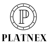 Platnex logo - Similar company to Ionh Media