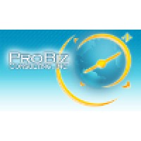 Pro Biz Consulting Usa