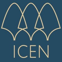 ICEN Risk logo - Similar company to Anv