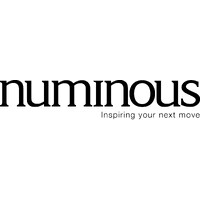 Numinous logo - Similar company to Projecting With People