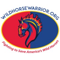 Wild Horse Warrior logo - Similar company to Let'S Fly Llc