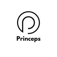 Princeps Solutions Private Limited logo - Similar company to Chem Tech Associates