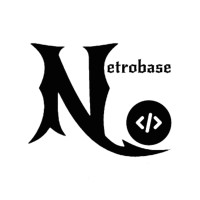 Netrobase logo - Similar company to Enegxi Technologies & Tech Institute