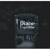 Diane Expertise logo - Similar company to Fcc Entreprises