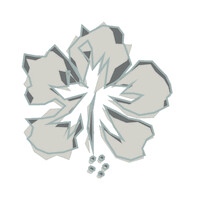 Ibiscusmedia