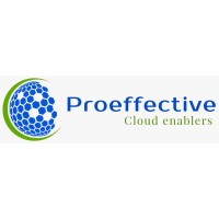Proeffective IT Services Pvt ltd logo - Similar company to Interon It Solutions