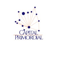 Capital Primordial® logo - Similar company to Magna -  Aceleradora De Negócios
