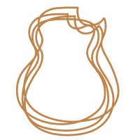The North American Guitar (TNAG Global) logo - Similar company to Pickworld