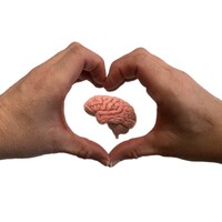 Positive Dementia Care logo - Similar company to Visiting Angels Fort Worth Tx