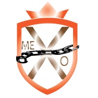 Mexo Security Services ltd logo - Similar company to Amara Capital Limited