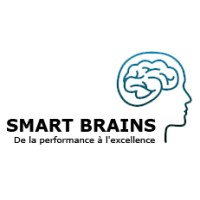 Smart Brains logo - Similar company to Smartbrains