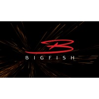Big Fish Executive logo - Similar company to Rbf