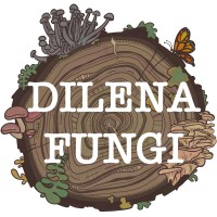 Dilena Fungi logo - Similar company to Highwater
